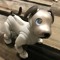 Aibo Signia