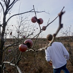 Greenleaf State Park