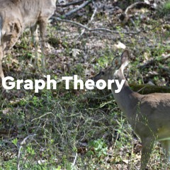 graph theory
