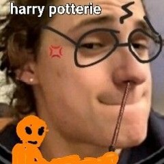 JE suis Harry la Poterie ✨️