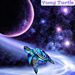 YUNG TURTLE