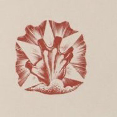 pohnee