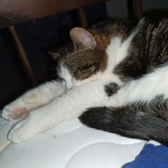 вагина Гриша про