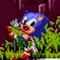 Sonic.