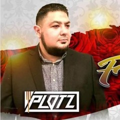 DJ PLOTZ