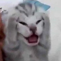 ??
