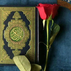 قرأن كريم