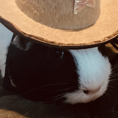 big iron