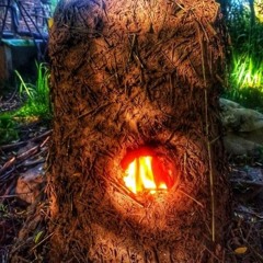 fenngen's work in progress