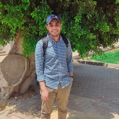Youssef Mohamed Ali