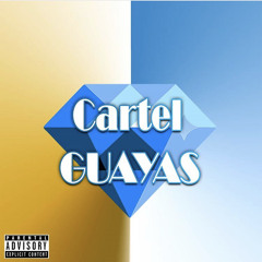 Cartel Guayas