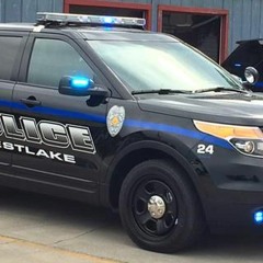 Online Patrol