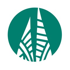 The Emotional Institute