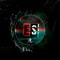 E.S.L