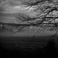 Cent Vingt Mots Gris