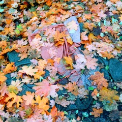 the burned-out burnouts