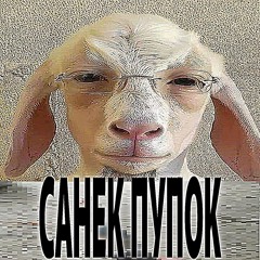 САНЁК ПУПОК