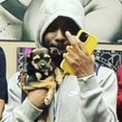 MoneyManMontee