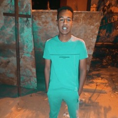 walid elnopy