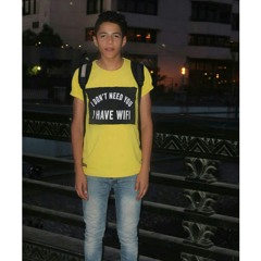kareem usama