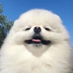 김건
