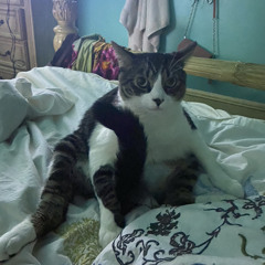 Laxmi