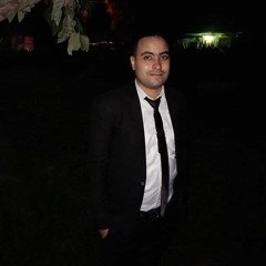 Adel Elsoree