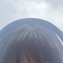Iphis