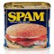spam ham can