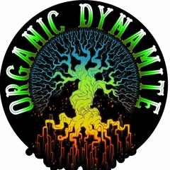 Avici-levels-Deviot Rmx