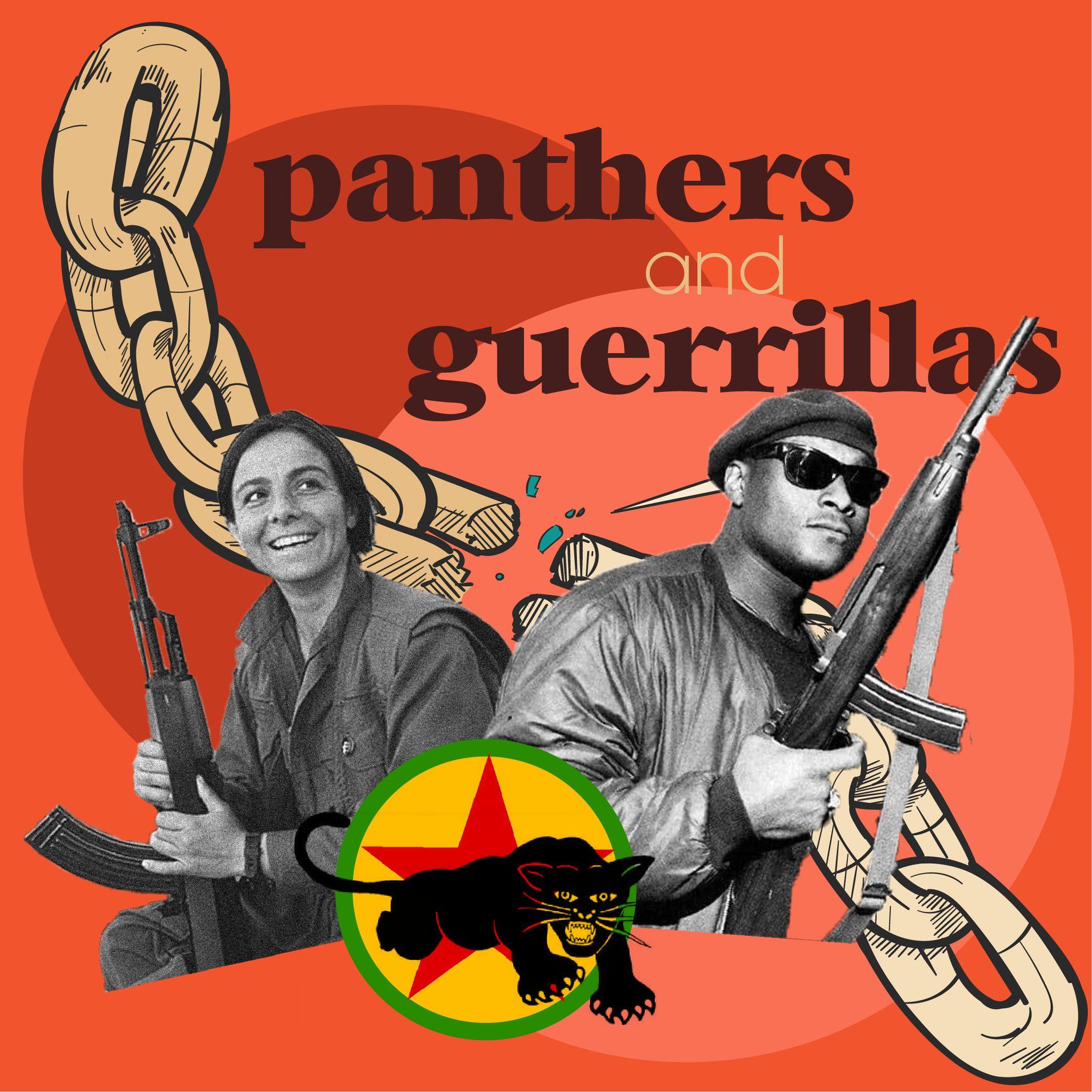 Panthers and Guerrillas: Black America, Kurdistan, and Their Struggles For Freedom