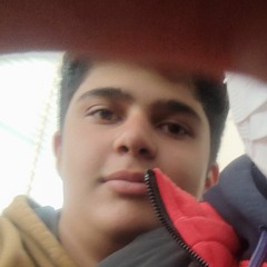 meyyyyysam . dashe vizer