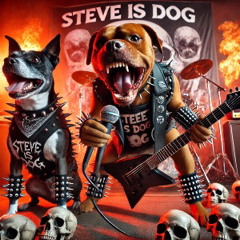 Steve is DOG