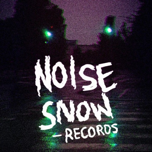 Noise Snow Records’s avatar