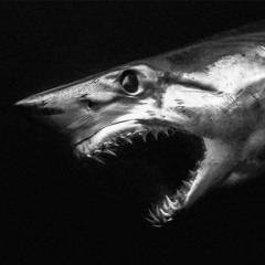mako