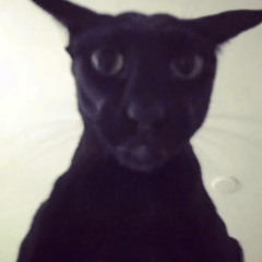 YomiSkelly