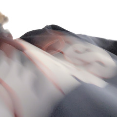 swillymane