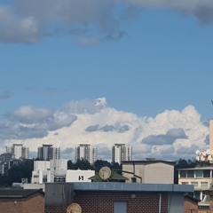 무엇이든 whatever