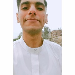 Mohamed Elafndey