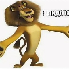 swag220kmh