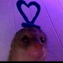 Chupa al perro