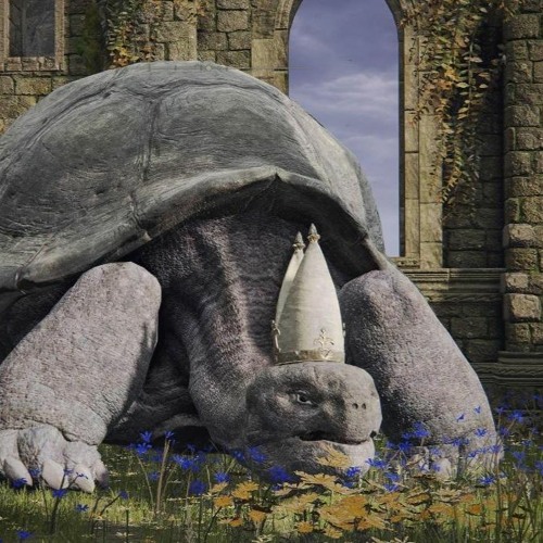Turtle Pope’s avatar