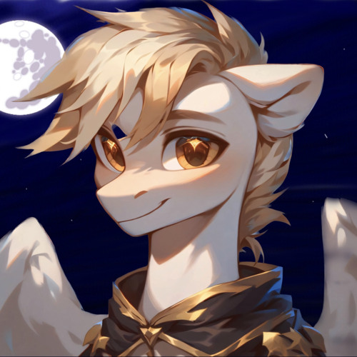 Shell Spin’s avatar