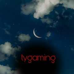 tygaming