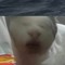 abobus
