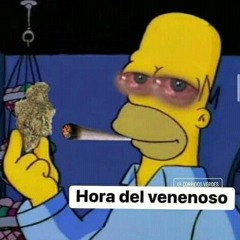 randalldmt