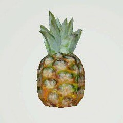 xolevr