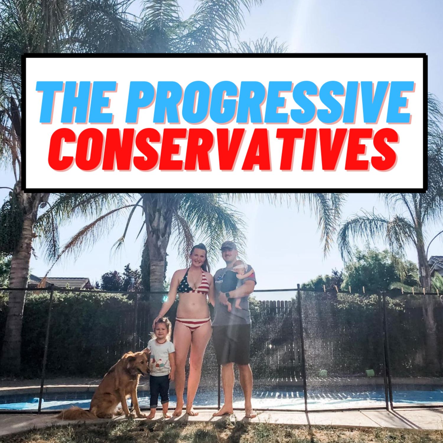 The Progressive Conservatives