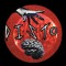 Disto