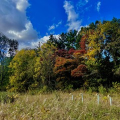 Unbounded Souls Production